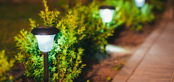 Garden lights along a path